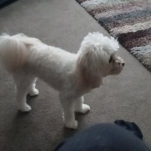 Meet your Posher, Bryant